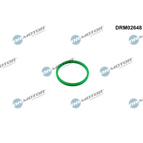 Kjøp Tetningsring, laseluftslange av DR.MOTOR AUTOMOTIVE DRM02648 til den lave prisen 62,25 NOK