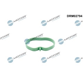 Acquista Guarnizione, Collettore aspirazione da DR.MOTOR AUTOMOTIVE DRM02794 a buon mercato per soli 13,56 €
