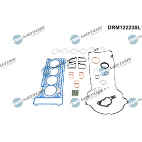 Compre Jogo de juntas, cabeça do cilindro da DR.MOTOR AUTOMOTIVE DRM12223SL a um preço baixo por 88,31 €