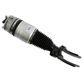 Comprar Amortiguador neumático de SACHS 319 402 a bajo precio de 898,71 €