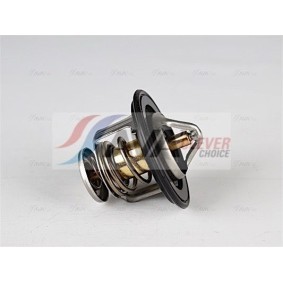 Achetez des Radiateur du moteur AVA COOLING SYSTEMS FT2060 à prix pour 105,20 €