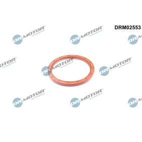 Osta Akselitiiviste, kampiakseli DR.MOTOR AUTOMOTIVE:llä DRM02553 edullisesti hintaan 20,90 €