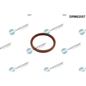 Osta Akselitiiviste, kampiakseli DR.MOTOR AUTOMOTIVE:llä DRM02557 edullisesti hintaan 16,08 €