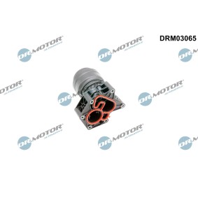 Osta Kotelo, öljynsuodatin DR.MOTOR AUTOMOTIVE:llä DRM03065 edullisesti hintaan 61,11 €