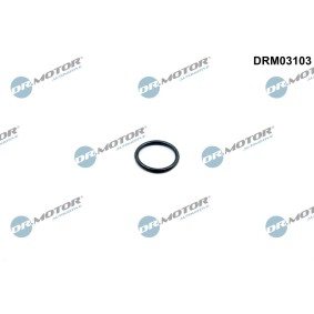 Achetez des Joint de calorstat DR.MOTOR AUTOMOTIVE DRM03103 à prix pour 5,16 €