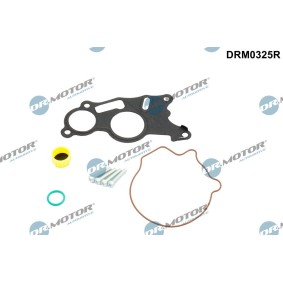 Acquista Kit riparazione, Pompa a depressione (Sistema frenante) da DR.MOTOR AUTOMOTIVE DRM0325R a buon mercato per soli 24,44 €