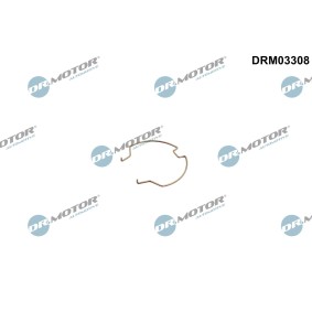 Halteschelle, Ladeluftschlauch DRM03308