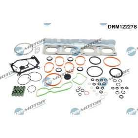 Compre Jogo de juntas, cabeça do cilindro da DR.MOTOR AUTOMOTIVE DRM12227S a um preço baixo por 71,51 €