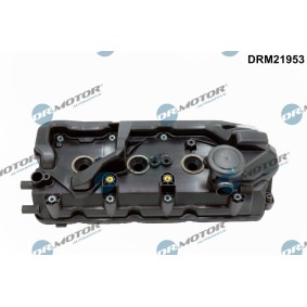 Acquista Coperchio punterie da DR.MOTOR AUTOMOTIVE DRM21953 a buon mercato per soli 138,28 €