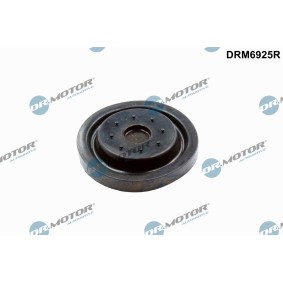 Reparatursatz, Kurbelgehäuseentlüftung DRM6925R FORD TRANSIT CUSTOM von DR.MOTOR AUTOMOTIVE