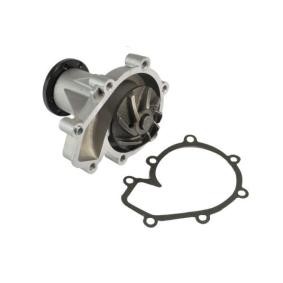 Comprar Bomba de agua de THERMOTEC D1M015TT a bajo precio de 39,46 €