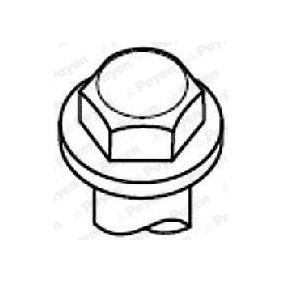 Zylinderkopfschraubensatz HBS052 FIAT SEICENTO von PAYEN