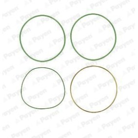 Acquista Kit bulloni testata da PAYEN HBS314 a buon mercato per soli 112,15 €