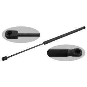Acquista Ammortizzatore pneumatico cofano motore da FEBI BILSTEIN 38232 a buon mercato per soli 32,02 €