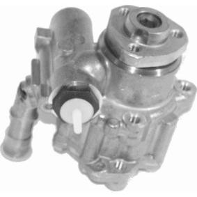 Servopumpe 25002 01