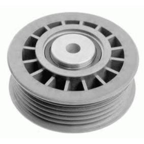 Umlenk- / Führungsrolle, Keilrippenriemen 10824 02
