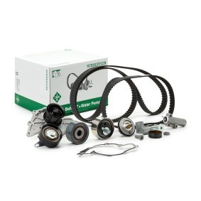 Achetez des Kit de distribution + pompe à eau INA 530 0539 30 à prix pour 367,67 €