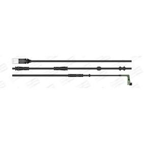Wischergummi R50/C01