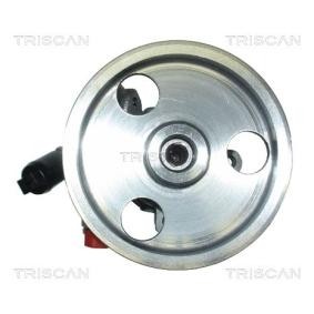 Servopumpe des Herstellers TRISCAN - Originalware Artikelnummer: 8515 10600