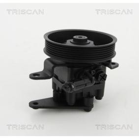 Servopumpe des Herstellers TRISCAN - Originalware Artikelnummer: 8515 14621