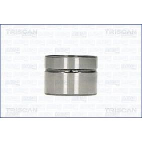 Hydrostößel des Herstellers TRISCAN - Originalware Artikelnummer: 80-10002