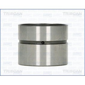 Hydrostößel des Herstellers TRISCAN - Originalware Artikelnummer: 80-25003