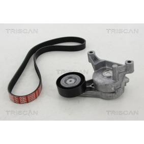 Achetez des Jeu de courroies trapézoïdales à nervures TRISCAN 8642 29004 à prix pour 100,39 €