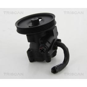 Servopumpe von TRISCAN günstig für 260,19 €