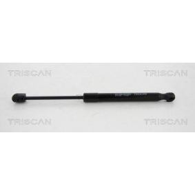 Heckklappendämpfer für MINI von TRISCAN