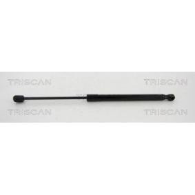 Heckklappendämpfer von TRISCAN günstig für 17,74 €