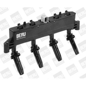 Kühlerlüfter von BERU günstig für 153,67 €