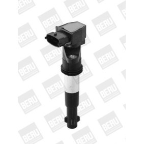 Kühlerlüfter von BERU günstig für 217,75 €