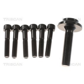 Acquista Guarnizione testata da TRISCAN 501-4262 a buon mercato per soli 50,17 €