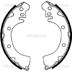 Comprar Juego de zapatas de frenos de TRISCAN 8100 42422 a bajo precio de 19,79 €
