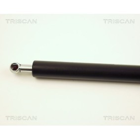 Comprar Disco de freno de TRISCAN 8120 101020 a bajo precio de 73,02 €