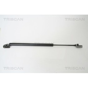 Bremsscheibe von TRISCAN 8120 17127