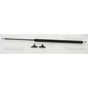 Bremsscheibe von TRISCAN 8120 17130