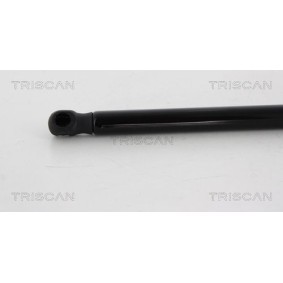 Bremsscheiben des Herstellers TRISCAN - Originalware Artikelnummer: 8120 17135