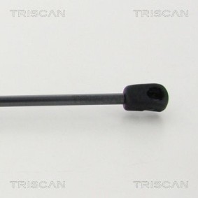 Bremsscheiben des Herstellers TRISCAN - Originalware Artikelnummer: 8120 18108
