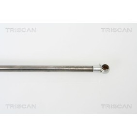 Bremsscheiben des Herstellers TRISCAN - Originalware Artikelnummer: 8120 18122
