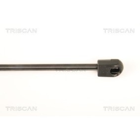 Bremsscheiben des Herstellers TRISCAN - Originalware Artikelnummer: 8120 21102