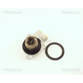 Acquista Cilindro secondario, frizione da TRISCAN 8130 65301 a buon mercato per soli 74,43 €