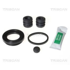 Bremssattel-Reparatursatz des Herstellers TRISCAN - Originalware Artikelnummer: 8170 203618