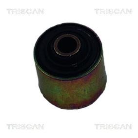 Lagerung, Lenker von TRISCAN