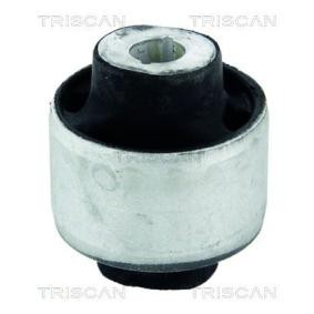 Lagerung, Lenker von TRISCAN