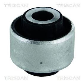 Lagerung, Lenker von TRISCAN