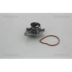 Köp Vattenpump av TRISCAN 8600 10032 till det låga priset 865,64 kr