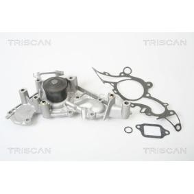 Achetez des Pompe à eau TRISCAN 8600 13004 à prix pour 139,58 €