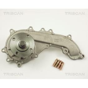 Achetez des Pompe à eau TRISCAN 8600 13007 à prix pour 78,32 €