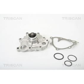 Achetez des Pompe à eau TRISCAN 8600 13009 à prix pour 120,65 €